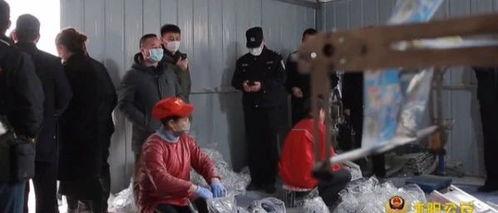 化肥厂爆料事件视频最新,揭秘行业黑幕与环保危机  第1张